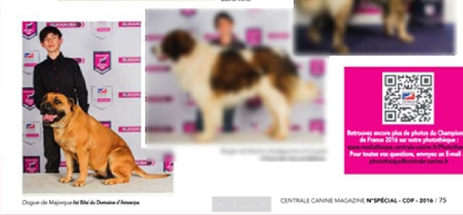 Du Domaine D'amserpa - Itsi bitsi est dans le hors série de Centrale Canine Magazine
