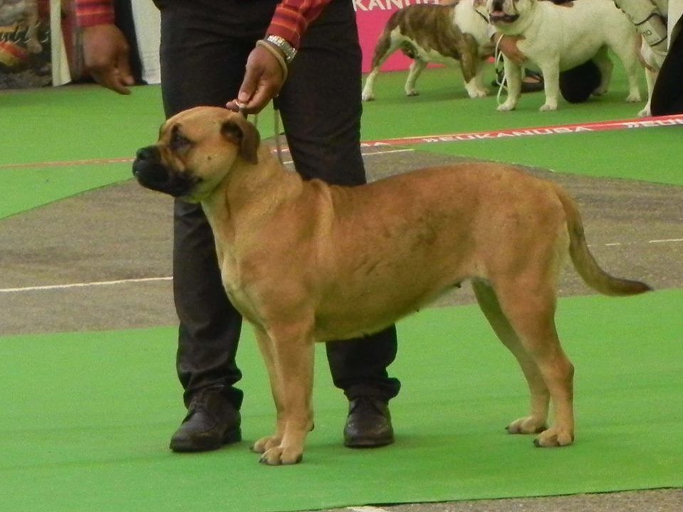 Du Domaine D'amserpa - Championnat de France