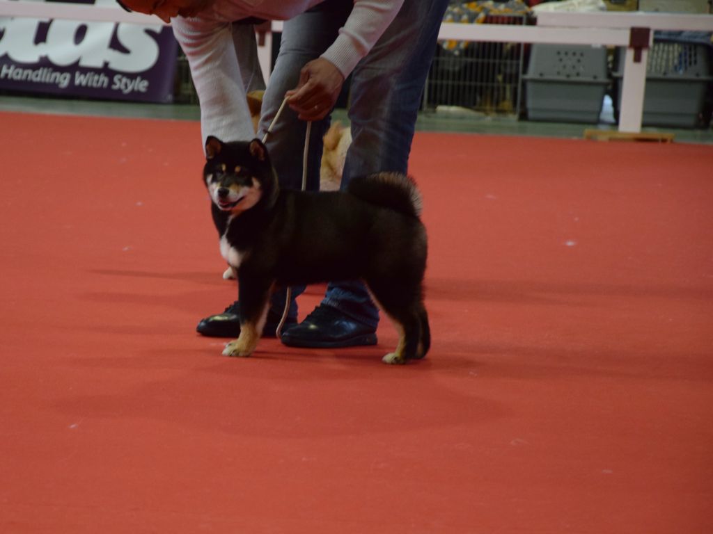 Unik Du Domaine D'amserpa